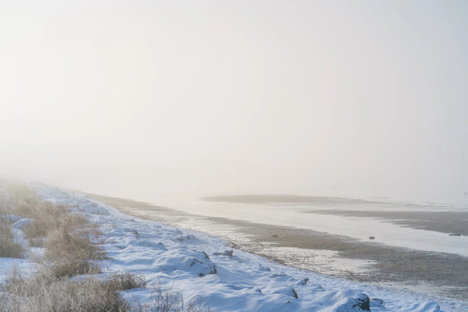 beach i Lomma, Sweden in fog