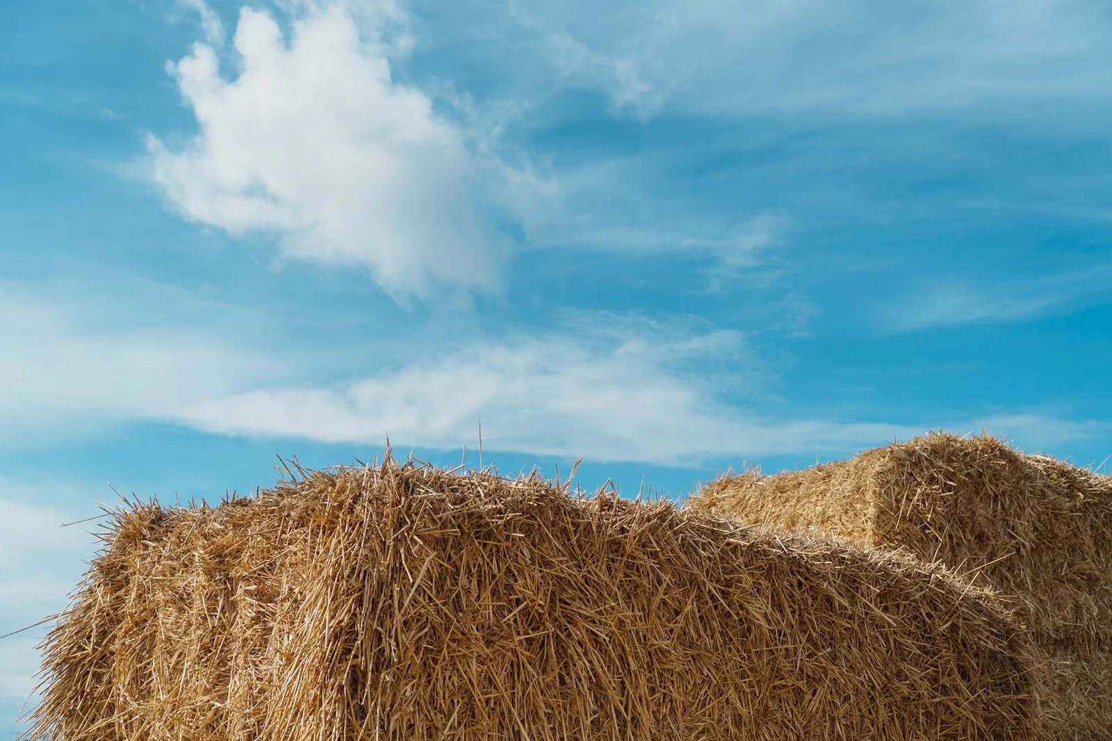 Golden hay bales beneath a blue sky with large white clouds.