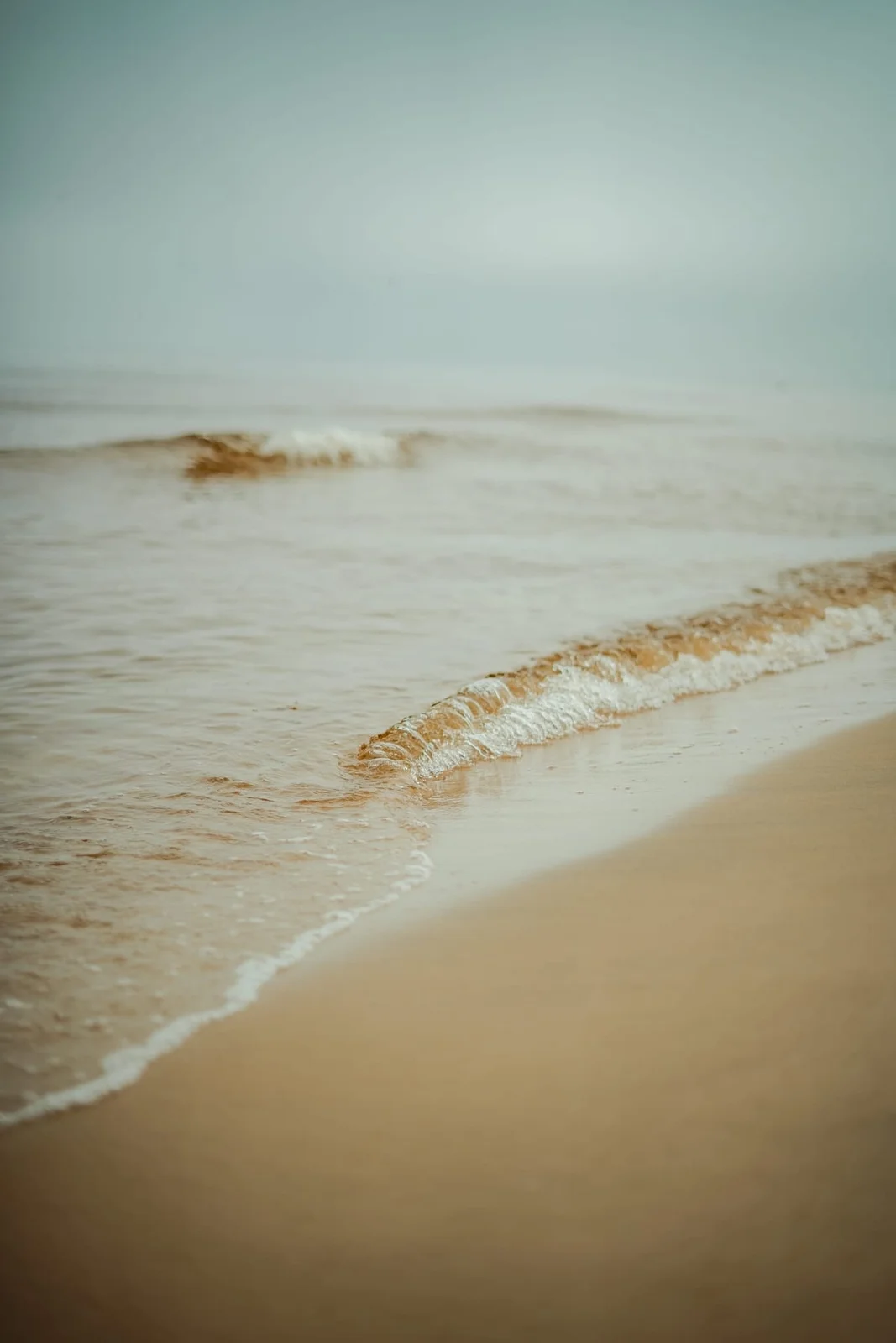 A thin line of sea foam curves across a sandy beach.